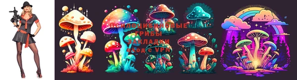 ПСИЛОЦИБИНОВЫЕ ГРИБЫ Арсеньев
