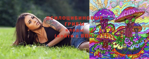 mix Аркадак
