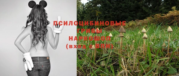 ПСИЛОЦИБИНОВЫЕ ГРИБЫ Арсеньев