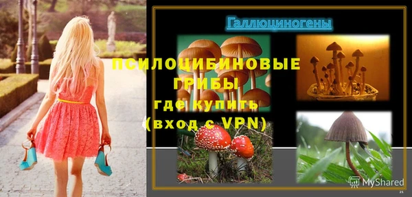 МДПВ Слюдянка