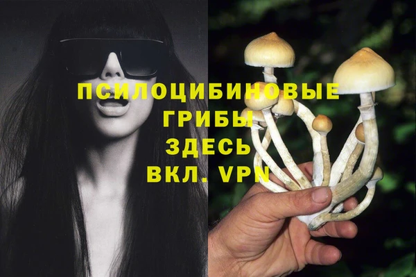 ПСИЛОЦИБИНОВЫЕ ГРИБЫ Арсеньев