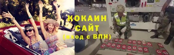 ПСИЛОЦИБИНОВЫЕ ГРИБЫ Арсеньев