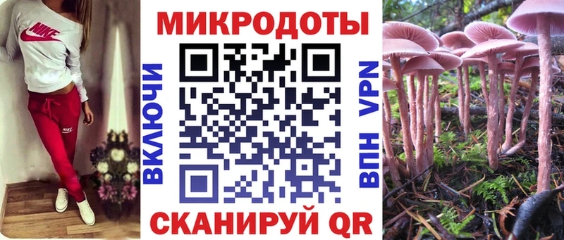 Галлюциногенные грибы Psilocybine cubensis  Валдай 